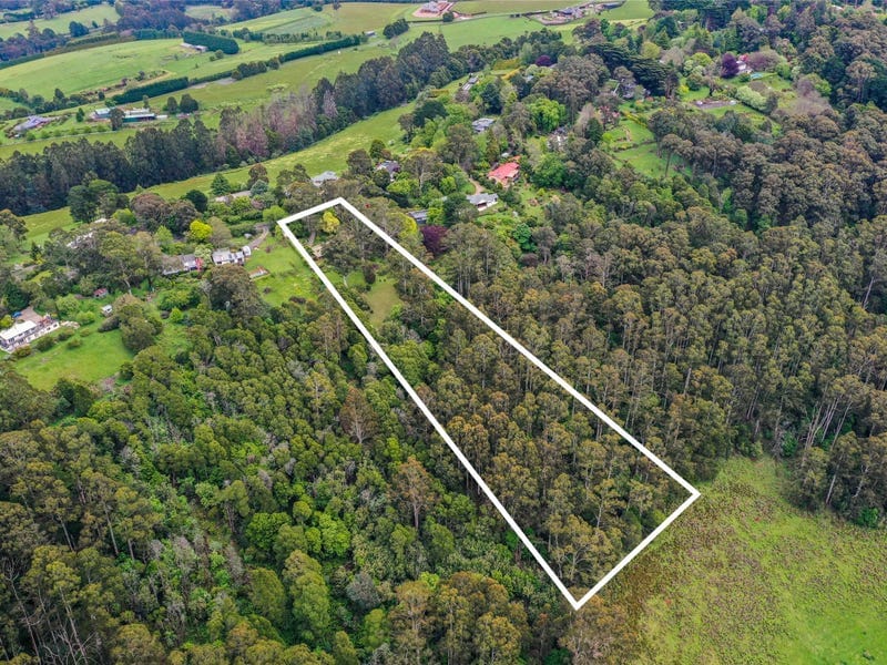 51 Ridge Road, Kallista — listing photograph 18
