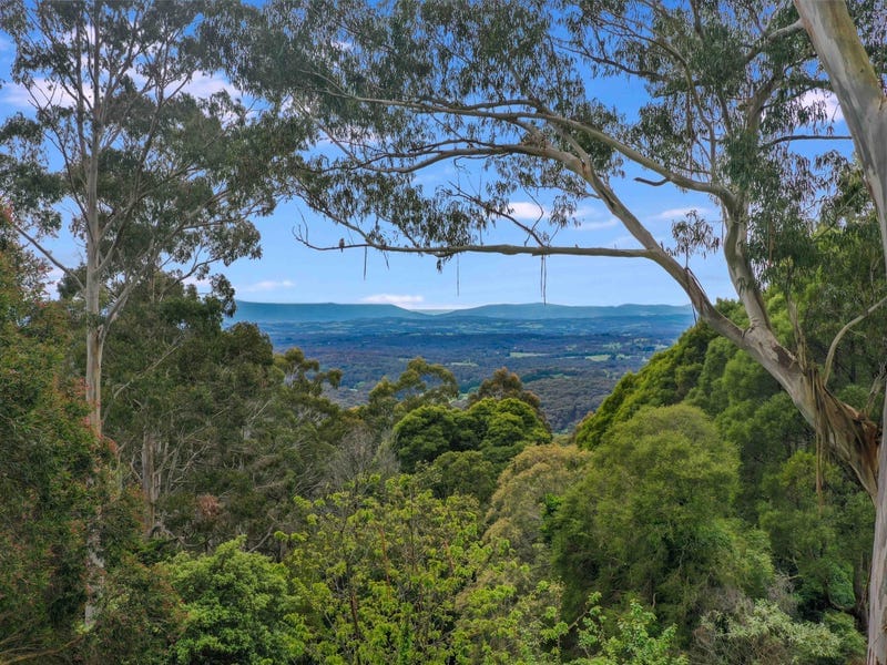 51 Ridge Road, Kallista — listing photograph 19