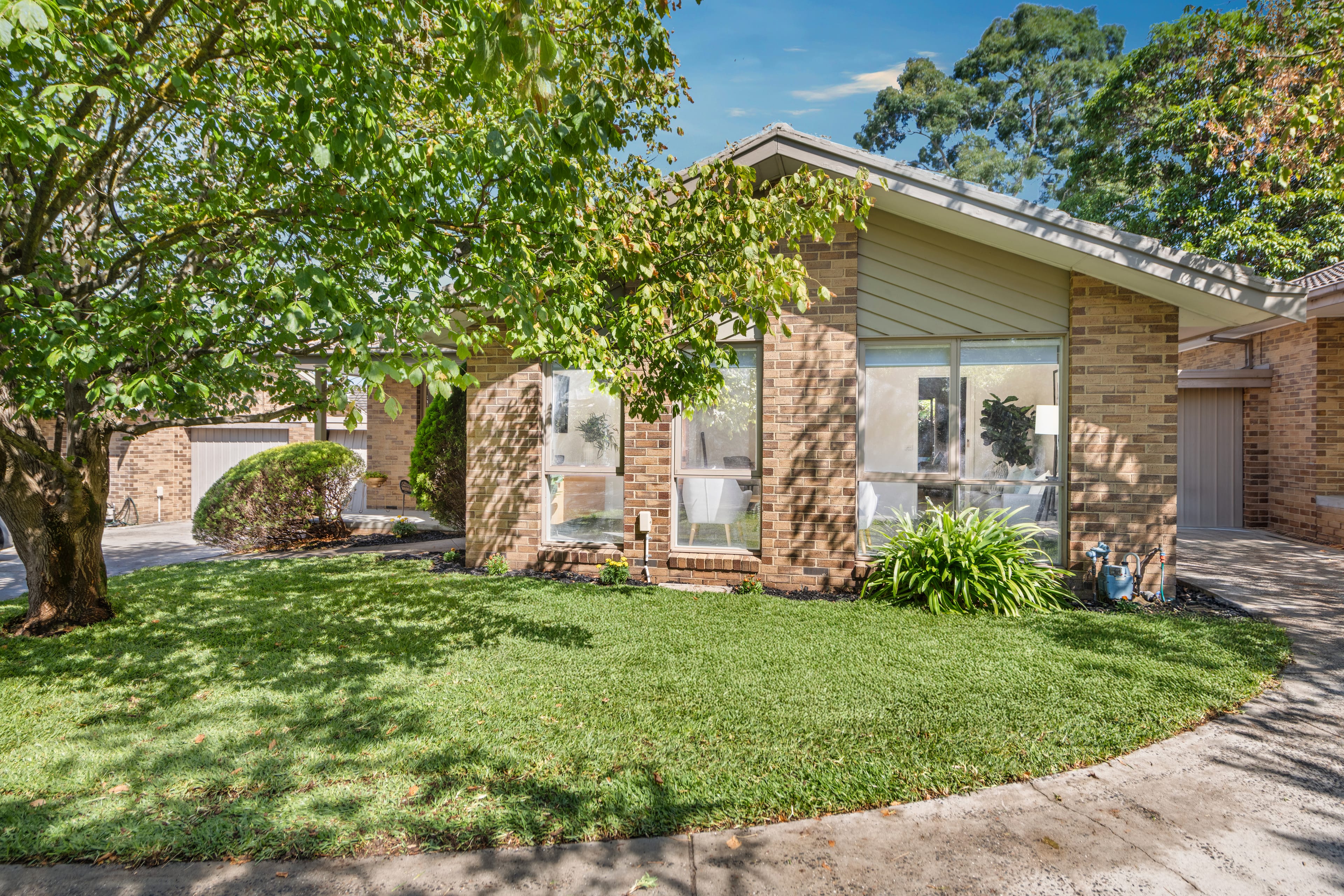 3/372 Middleborough Road, Blackburn — listing photograph 2