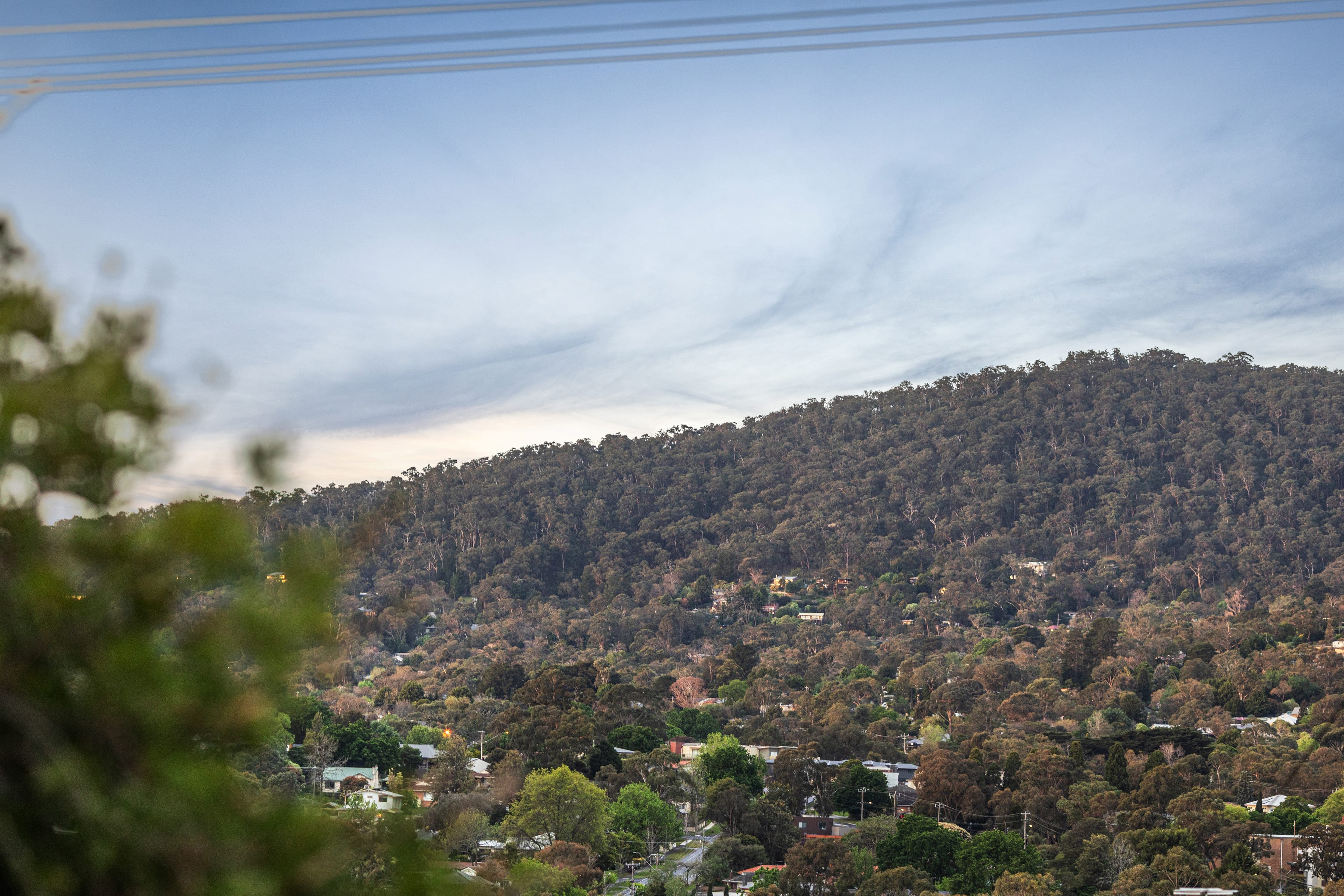 14 McIver Street, Ferntree Gully — listing photograph 24