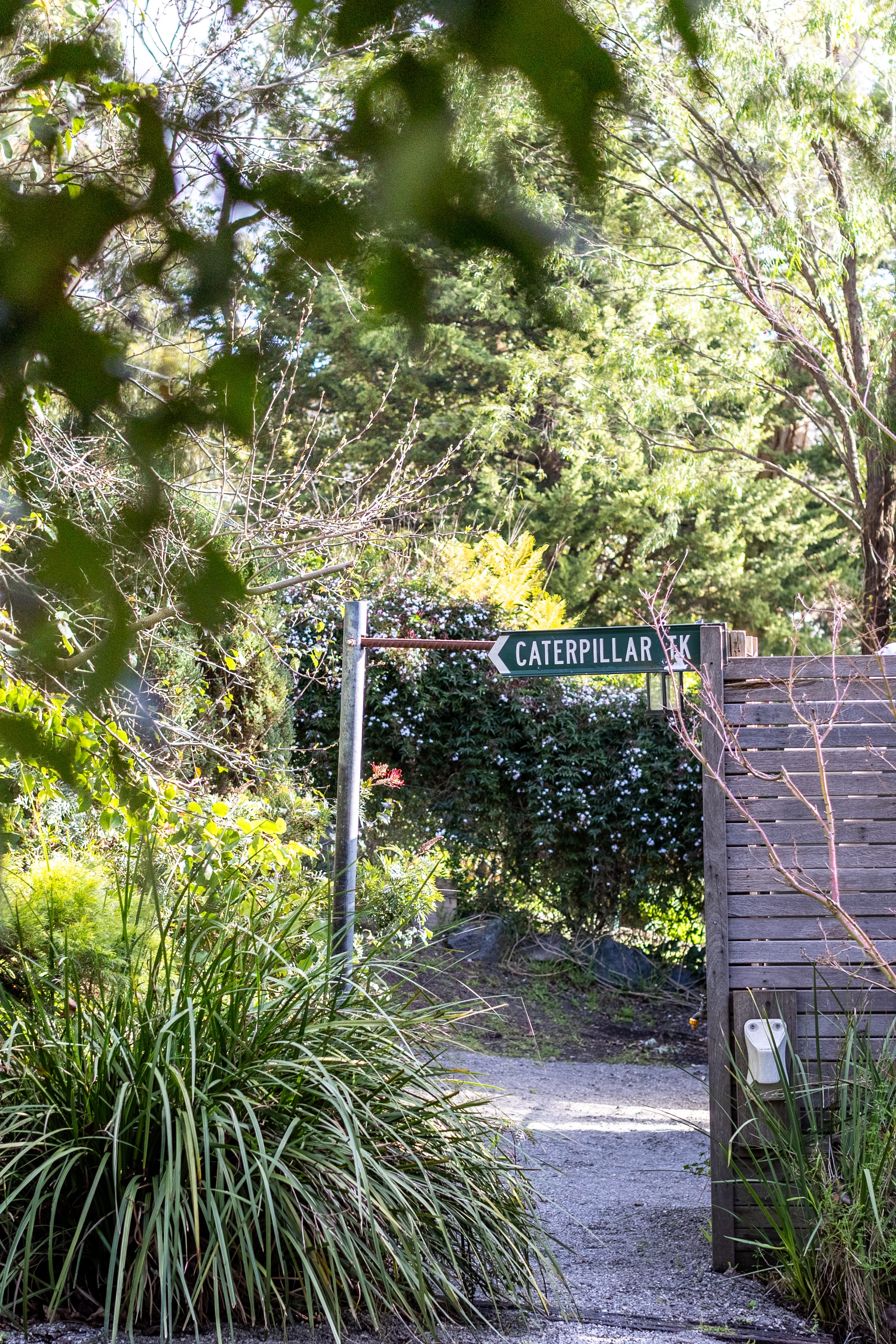 17 Old Forest Road, The Basin — listing photograph 24