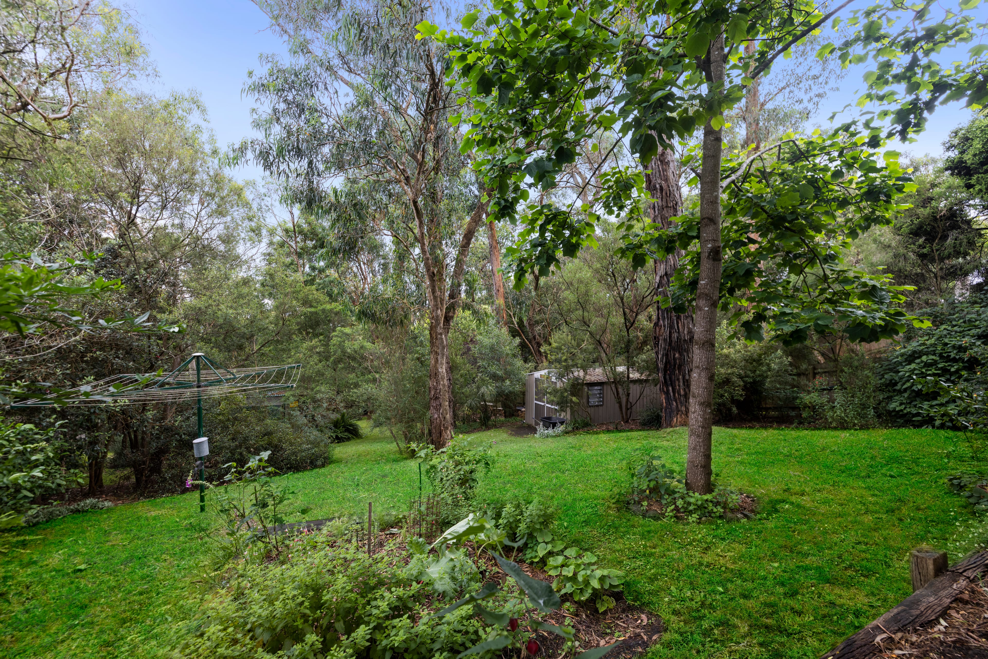 29 Anderson Street, Ferntree Gully — listing photograph 22