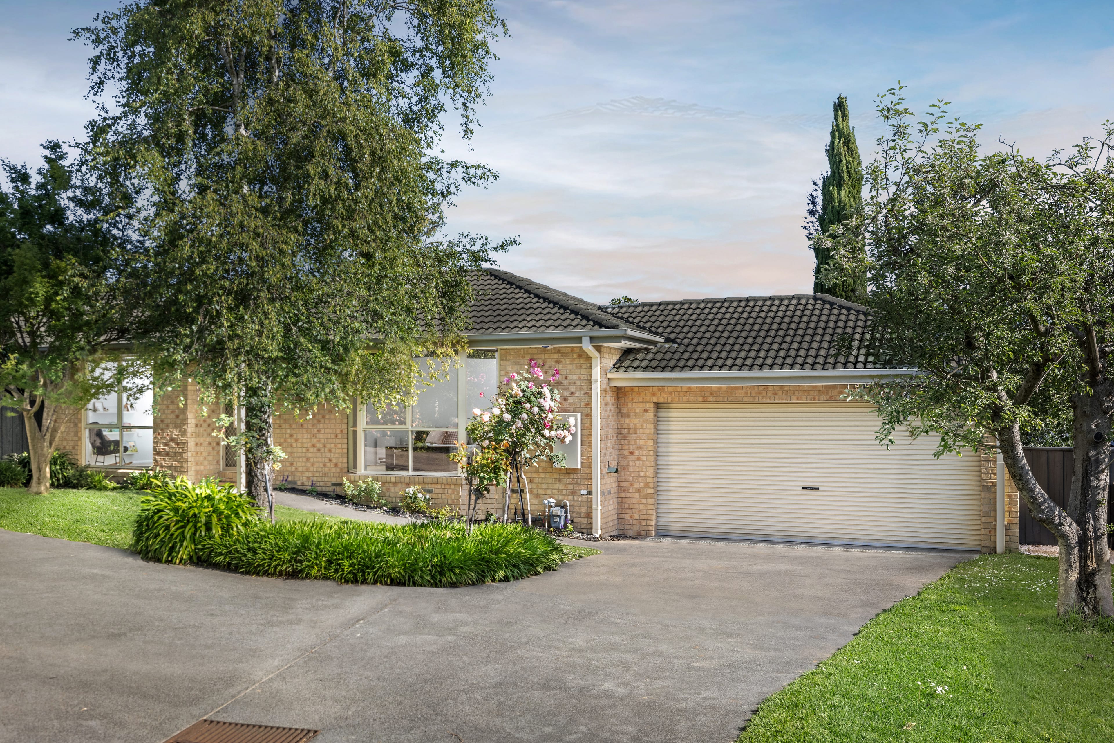 3/12 Vinter Avenue, Croydon — listing photograph 2