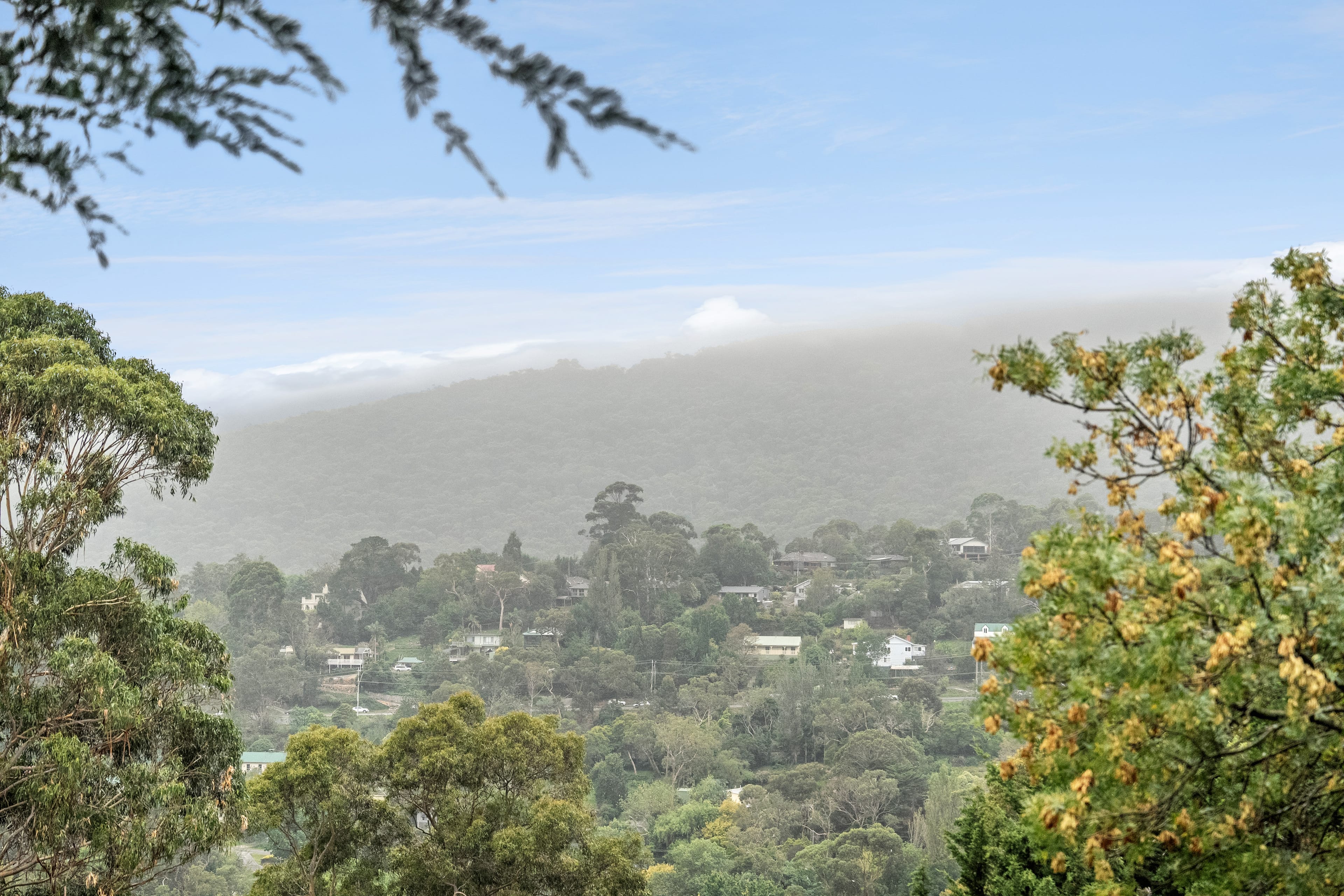 14 Forest View Lane, Upper Ferntree Gully — listing photograph 7