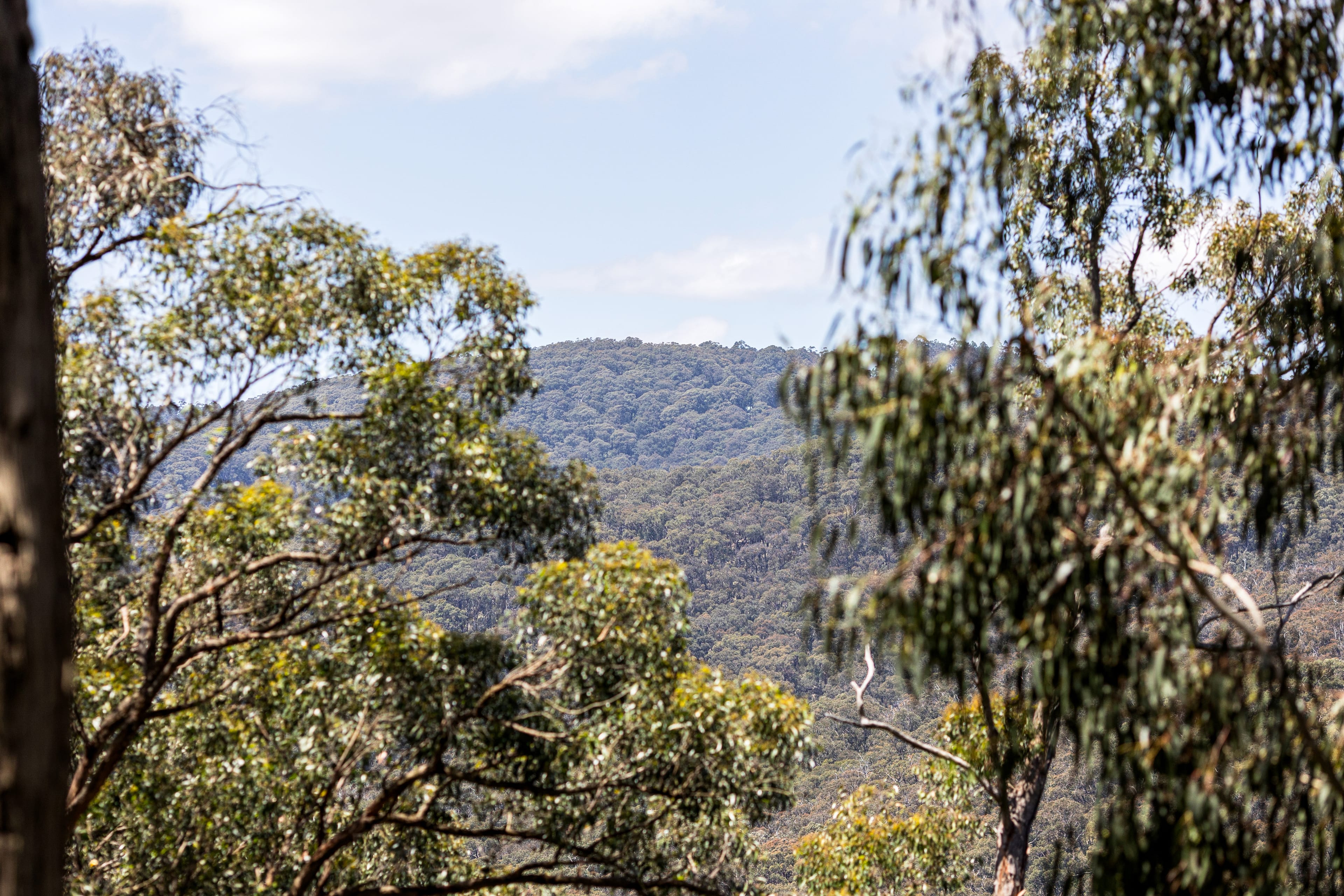 67 Government Road, The Basin — listing photograph 24
