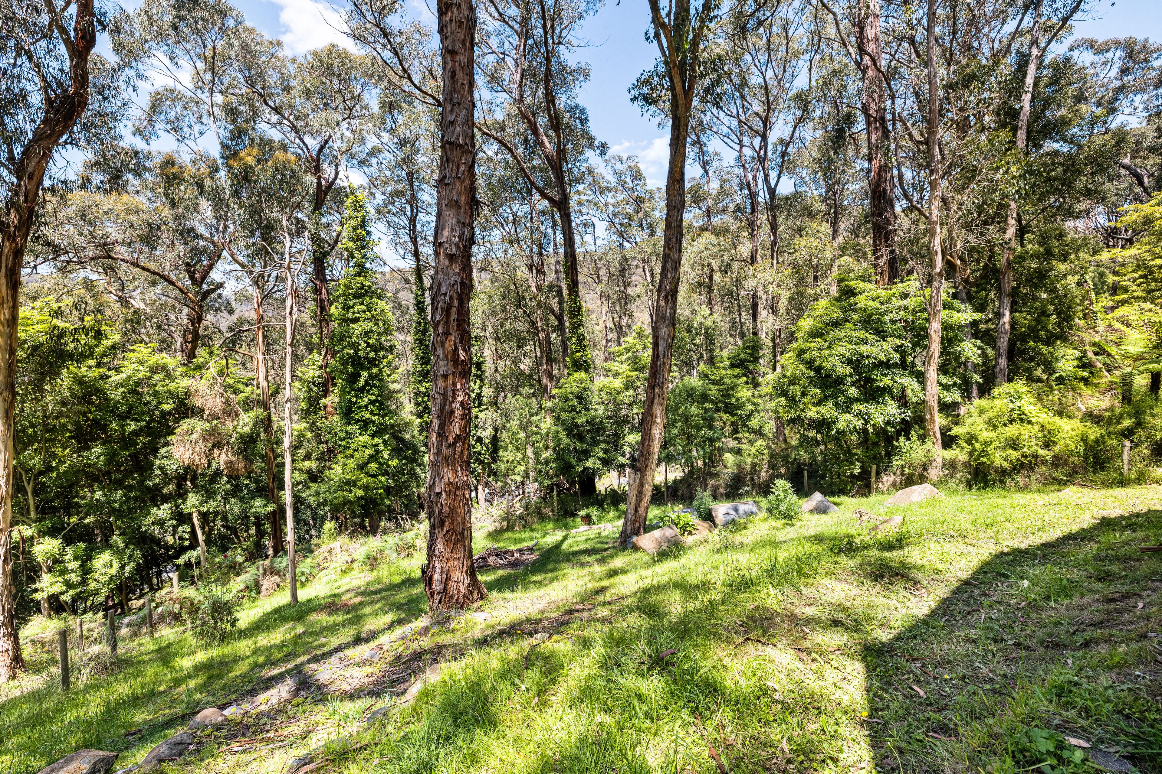 67 Government Road, The Basin — listing photograph 23