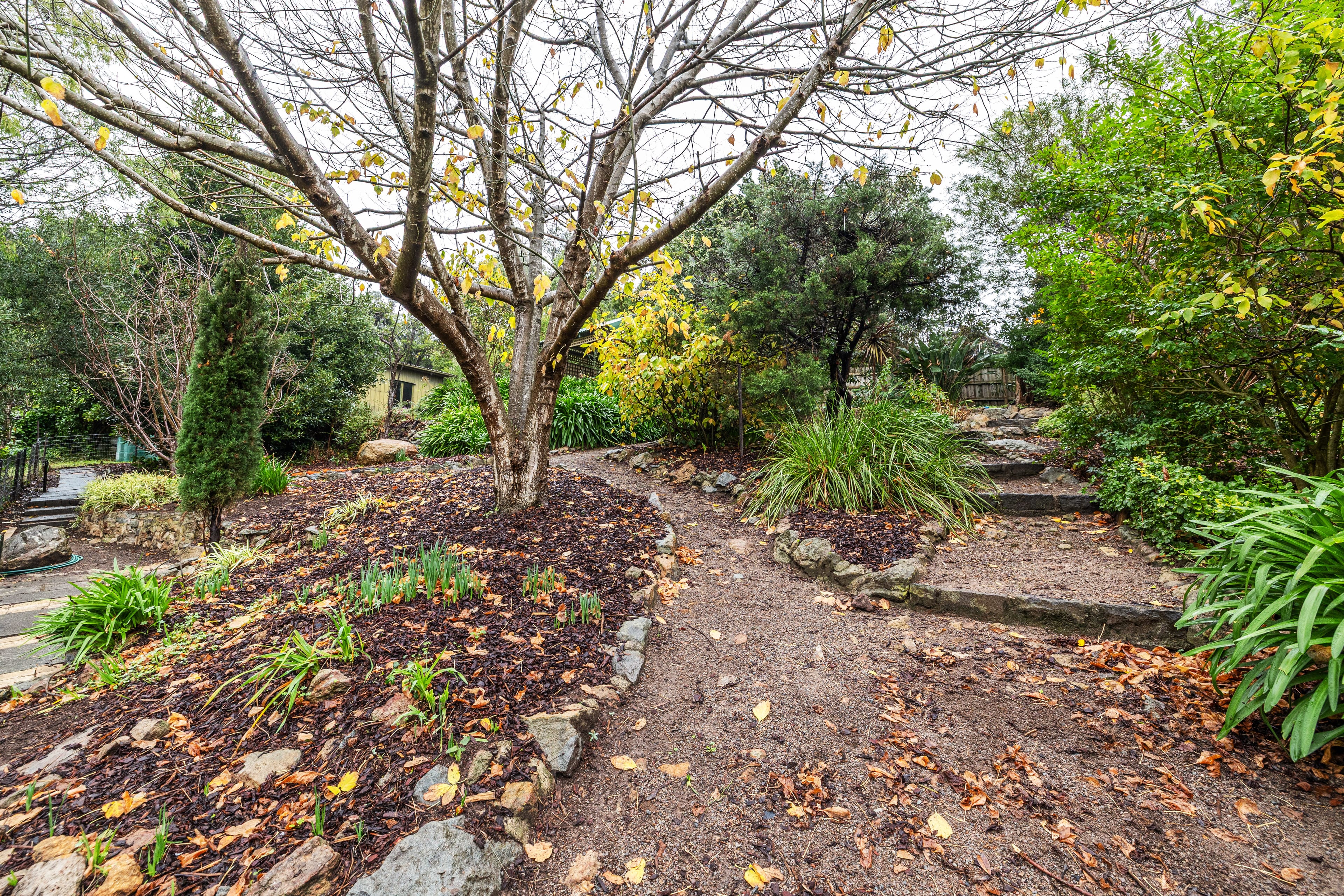 9 View Road, The Basin — listing photograph 21
