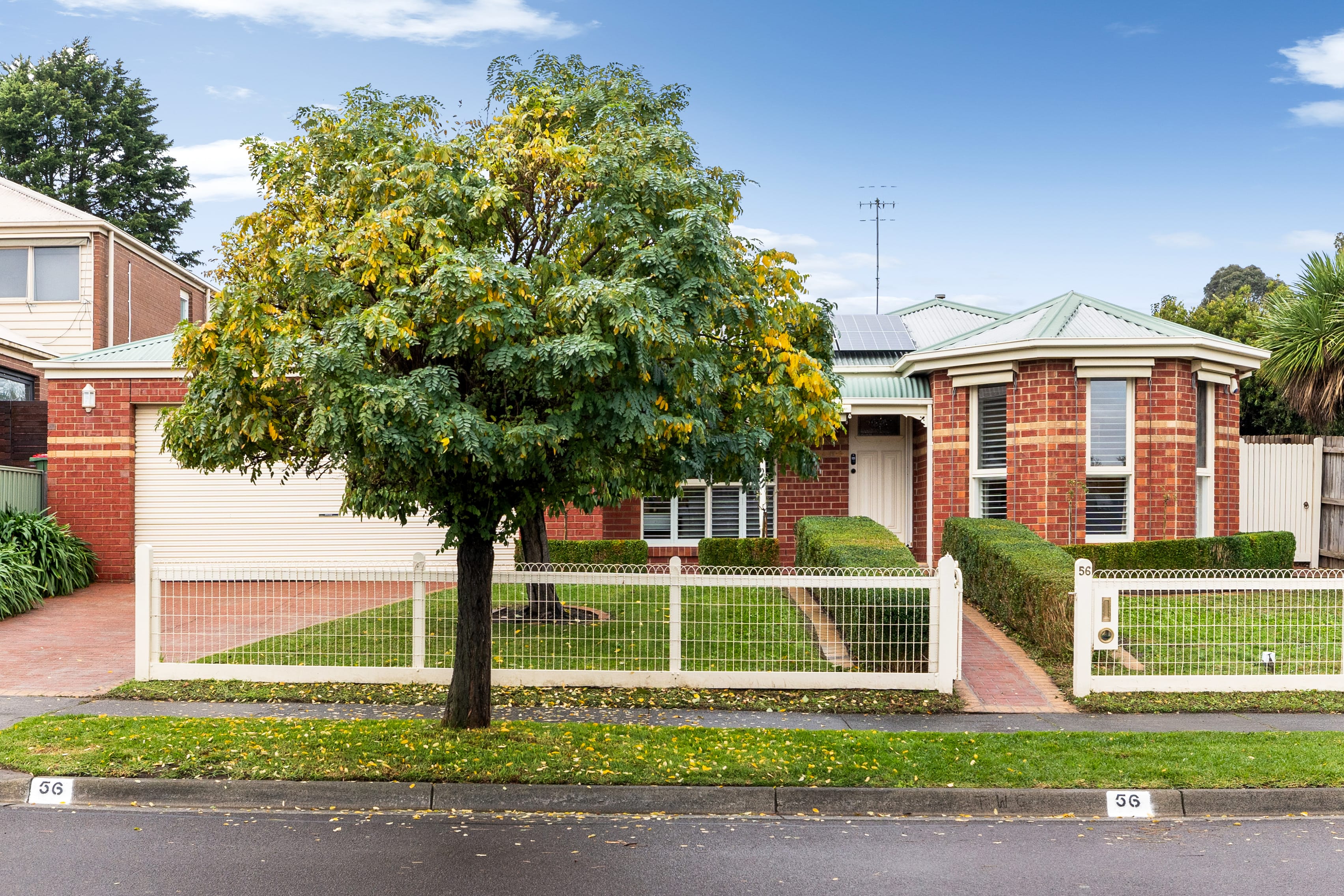 56 Allora Avenue, Ferntree Gully — listing photograph 3