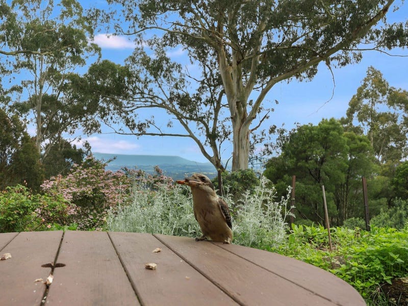 51 Ridge Road, Kallista — listing photograph 14