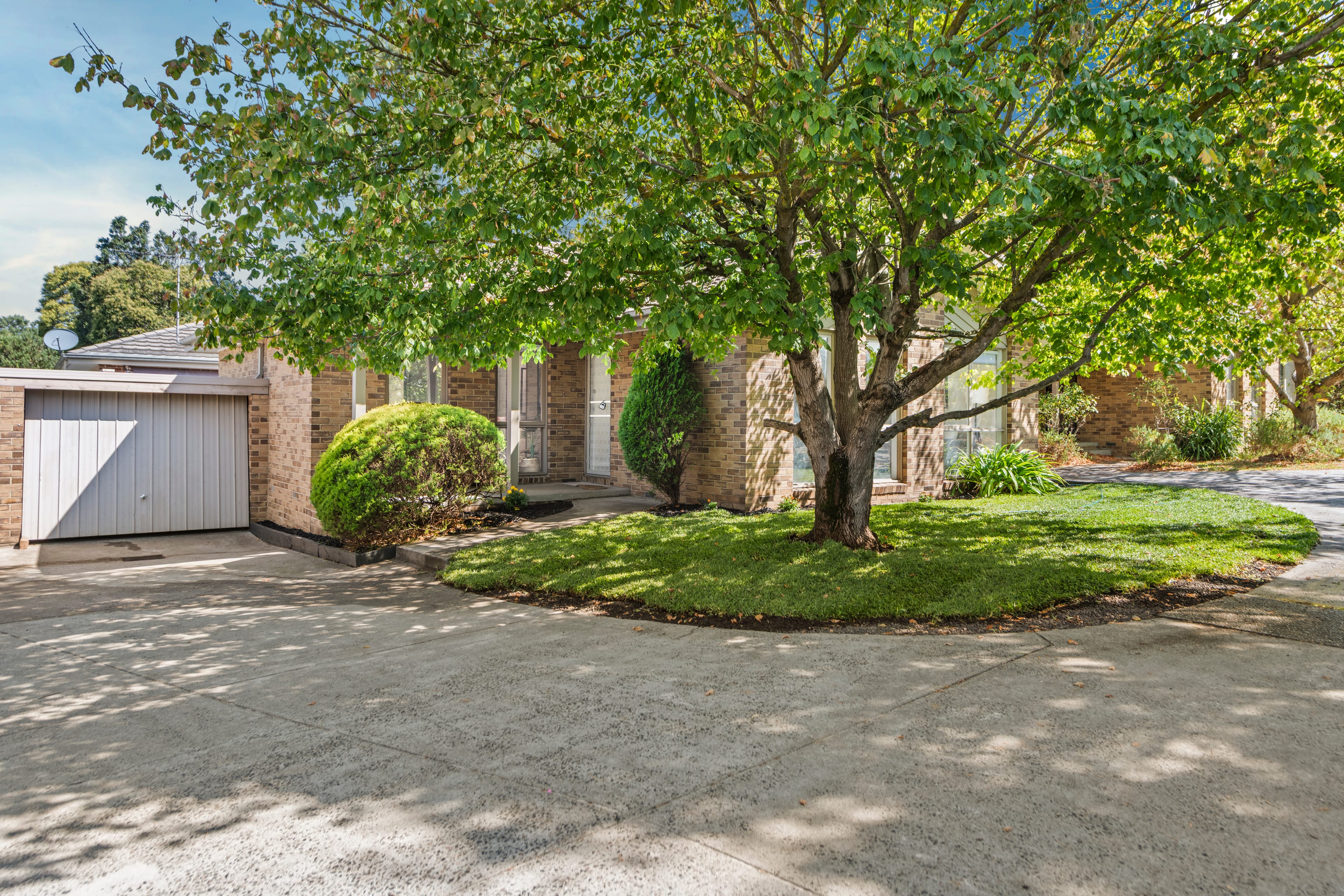 3/372 Middleborough Road, Blackburn — listing photograph 3