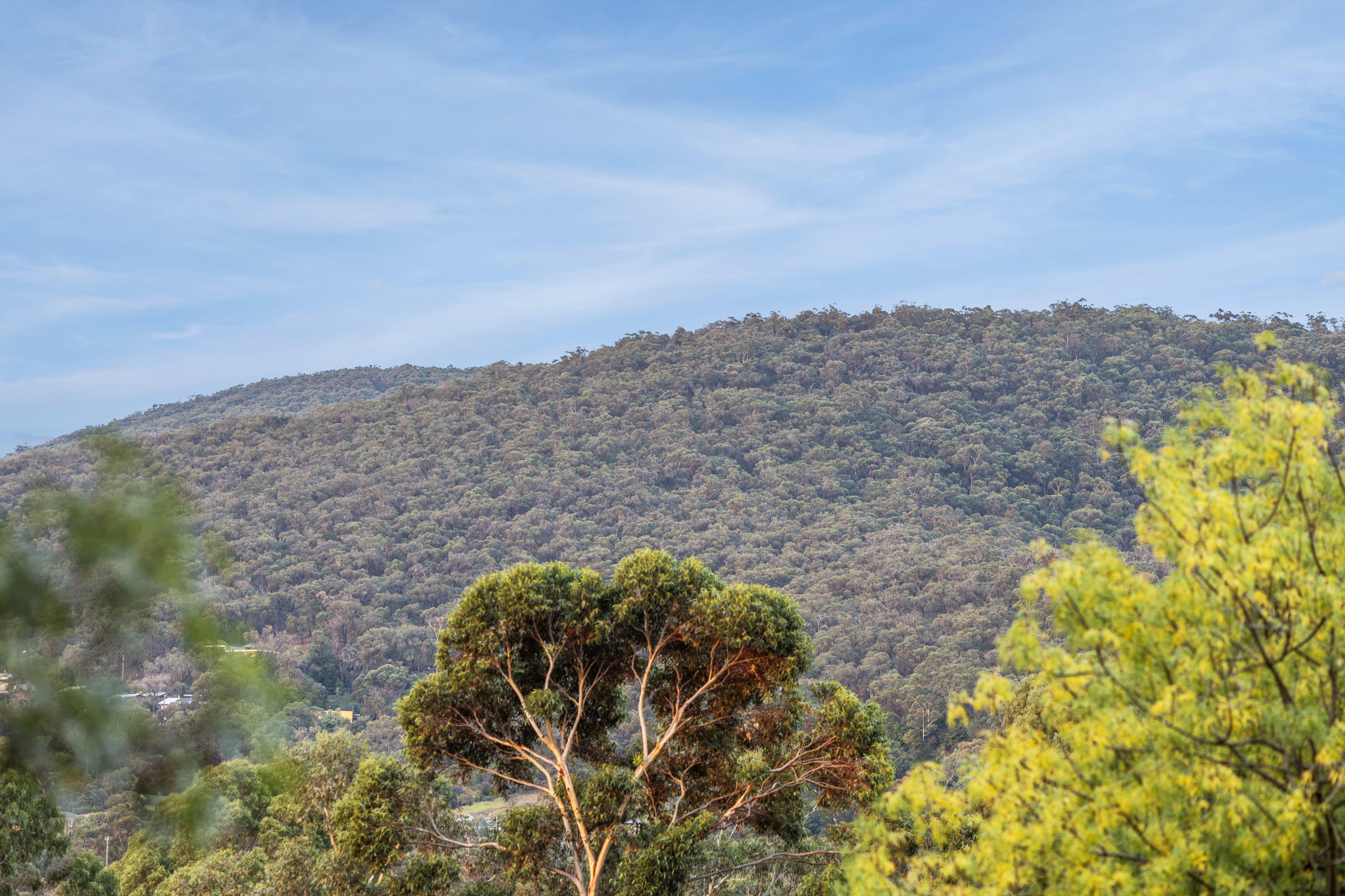 68 Glenfern Road, Ferntree Gully — listing photograph 19