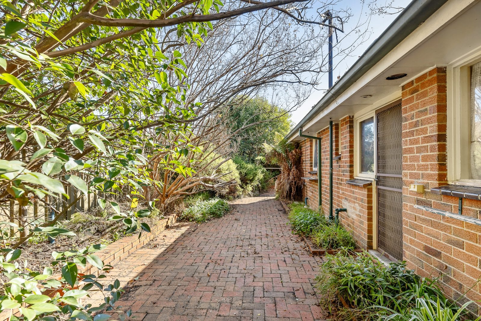 64 Holme Road, Ferntree Gully — listing photograph 11