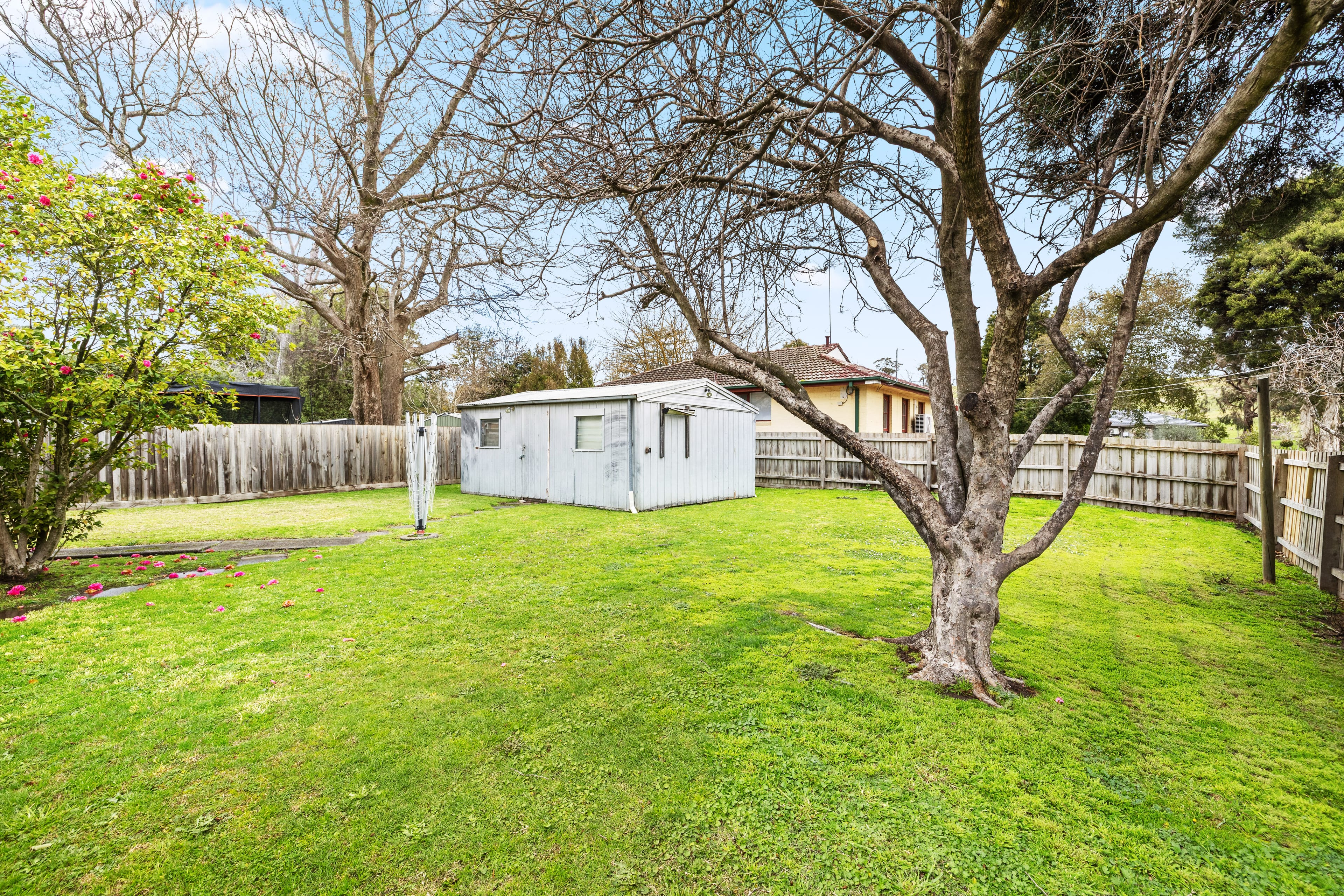 5 Acacia Road, Upper Ferntree Gully — listing photograph 15